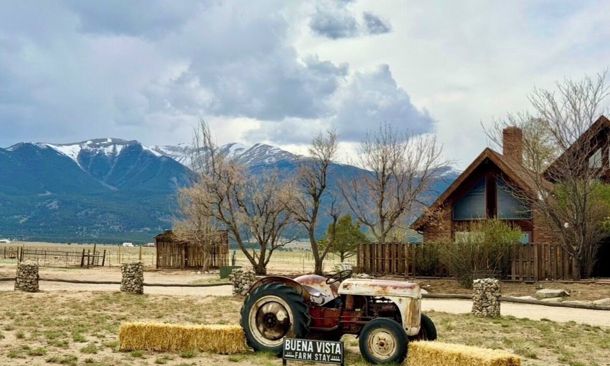 Buena Vista House | 43-Acre Working Farm - 5BR, Sleeps 11 - Collegiate Peaks Views - Cheese Creamery