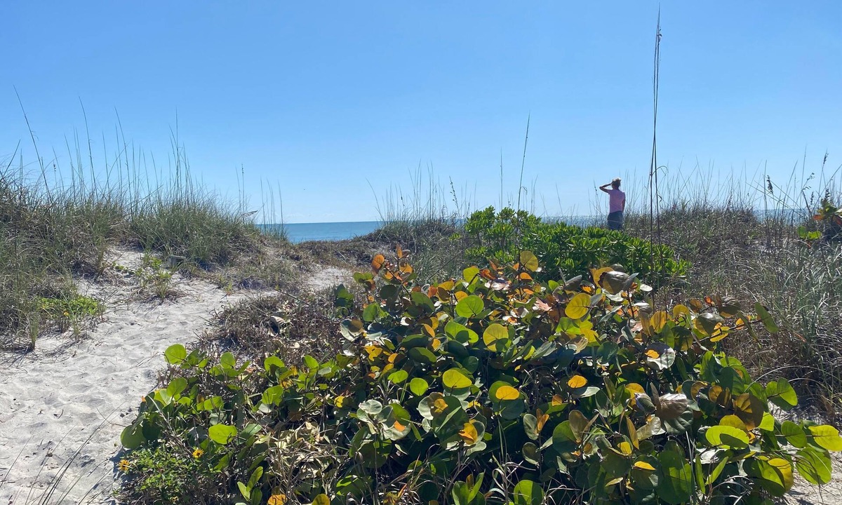 Orlando Beach House | Beach Paradise. Spacious, rustic, charming, original Florida style beach house.