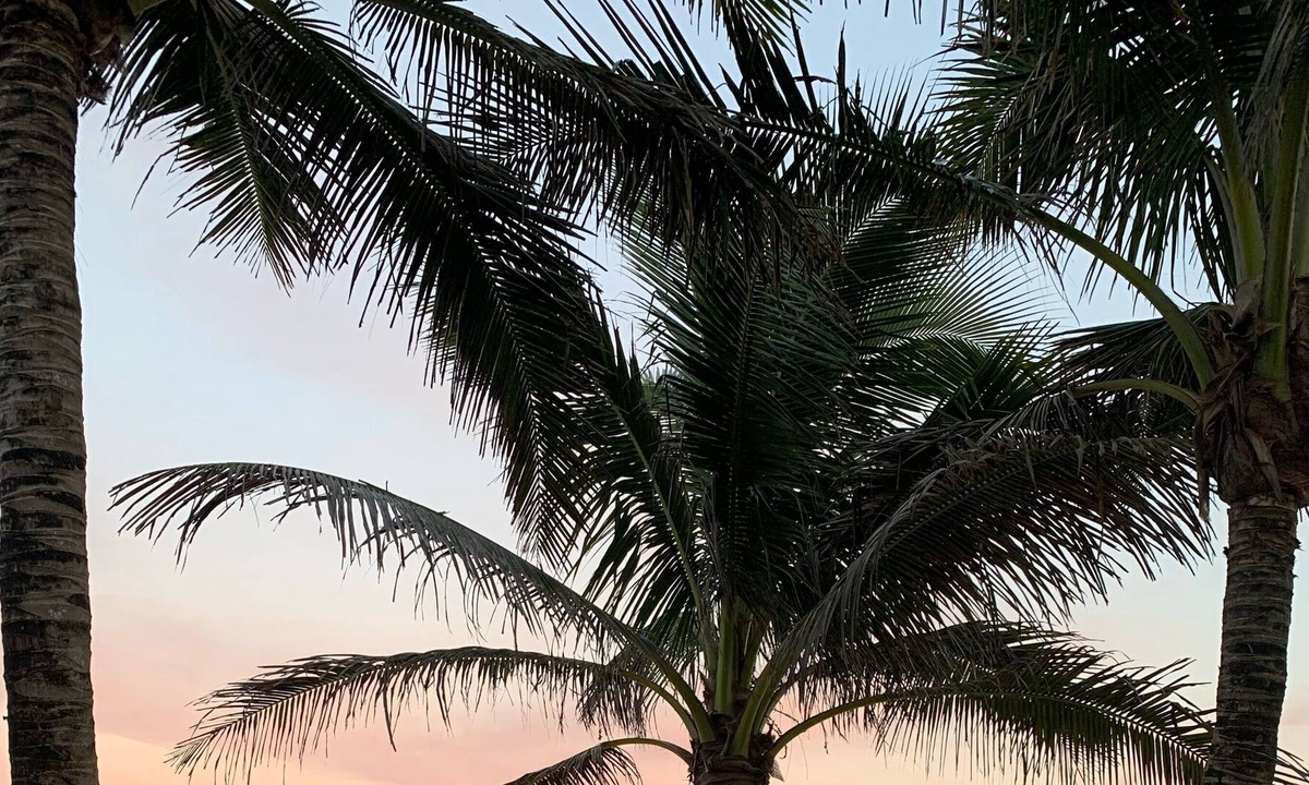 Floridana Beach House | Beachfront Paradise! GREAT FAMILY Vacation! SALTWATER HEATED POOL