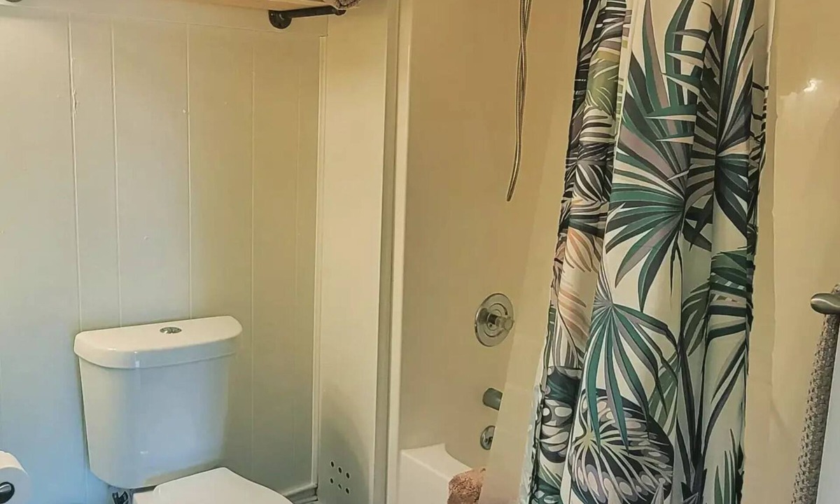 Hayesville Cottage | Coconut Cottage 2 Bedroom on Lake Chatuge!