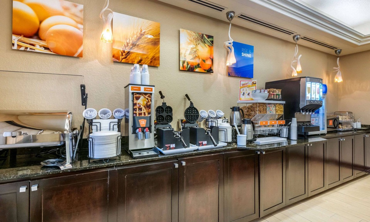 St. Petersburg - Clearwater Hotel | Comfort Inn & Suites Northeast - Gateway