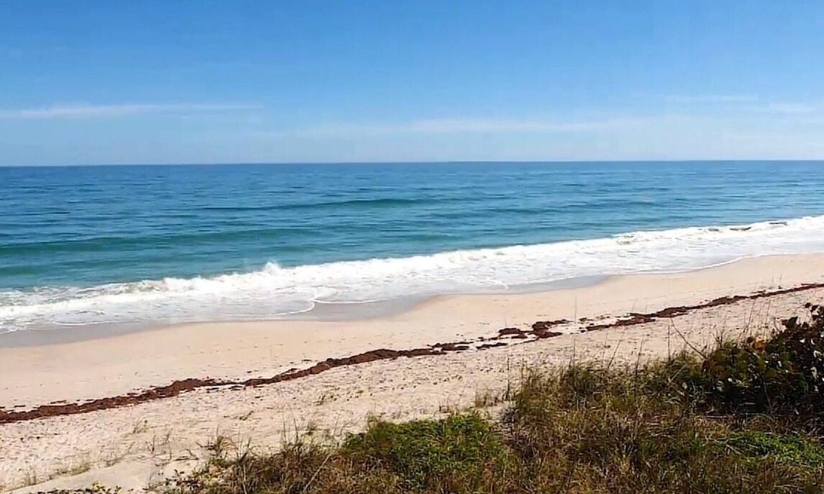 Melbourne Beach House | Cozy Beach Escape -saltwater pool - Poolside Suite