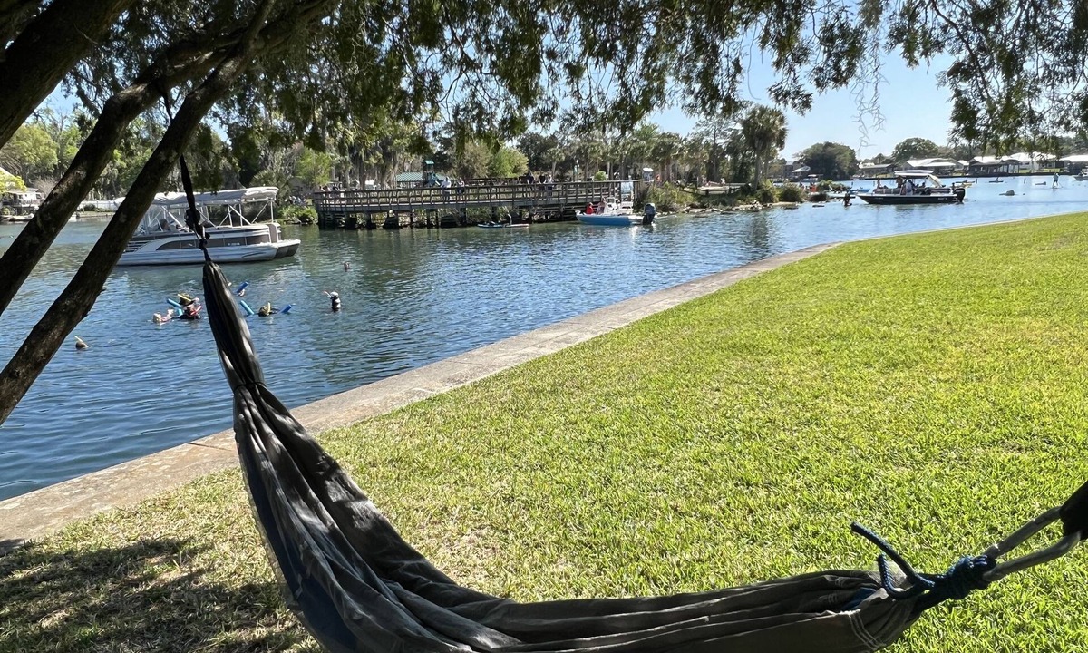 Springs at Kings Bay Condo | Cozy Condo with Private Boat Dock