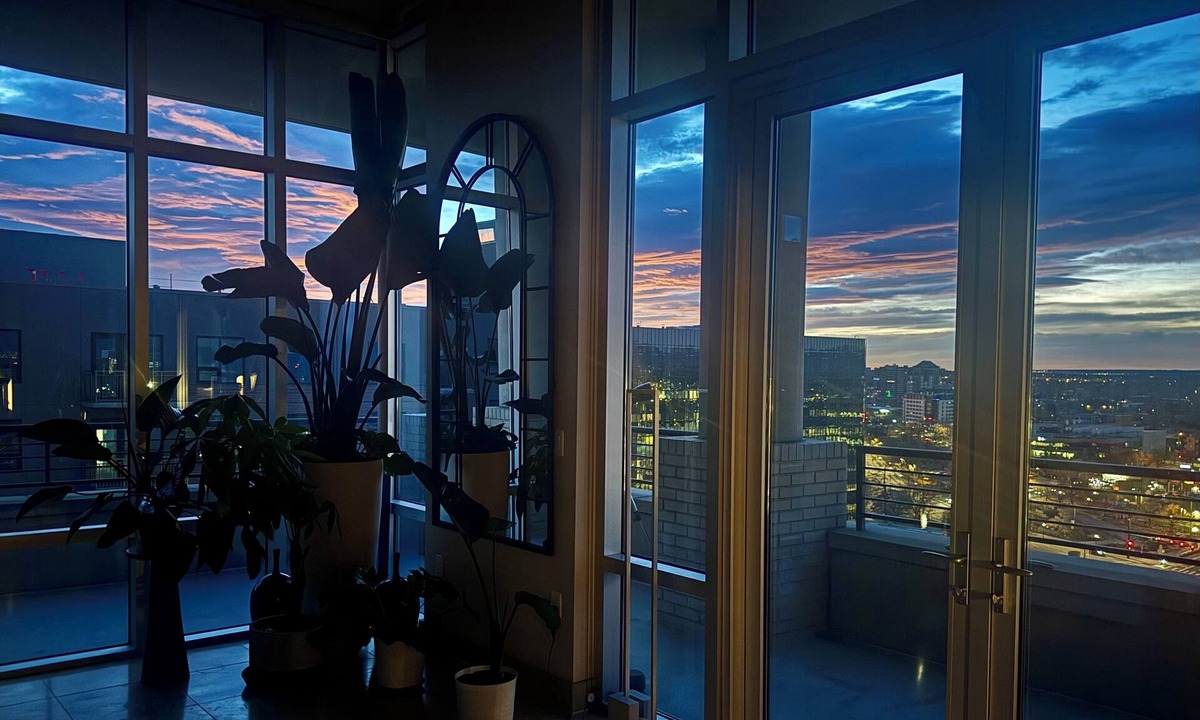 Civic Center Apartment | COZY LUXURIOUS UPSCALE 1-BEDROOM PENTHOUSE DOWNTOWN DENVER!