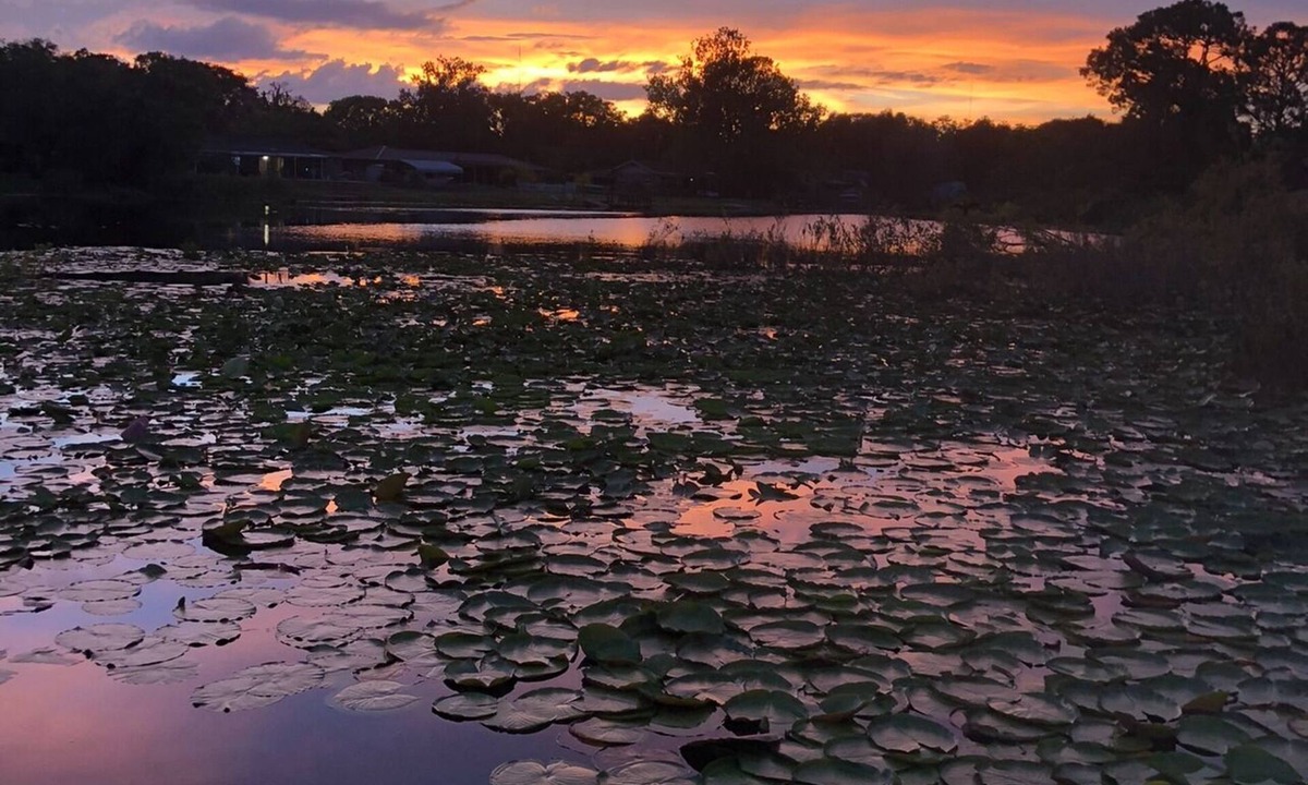Deltona Lakes House | Family Friendly Lakefront Home w/Dock & Kayaks