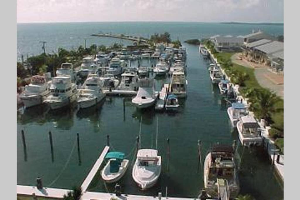 Key Largo House | FULL TIME LIC Mgr - 2 BED 2 BATH VILLA - OCEANFRONT BEACH RESORT - SALTWATER LAGOON