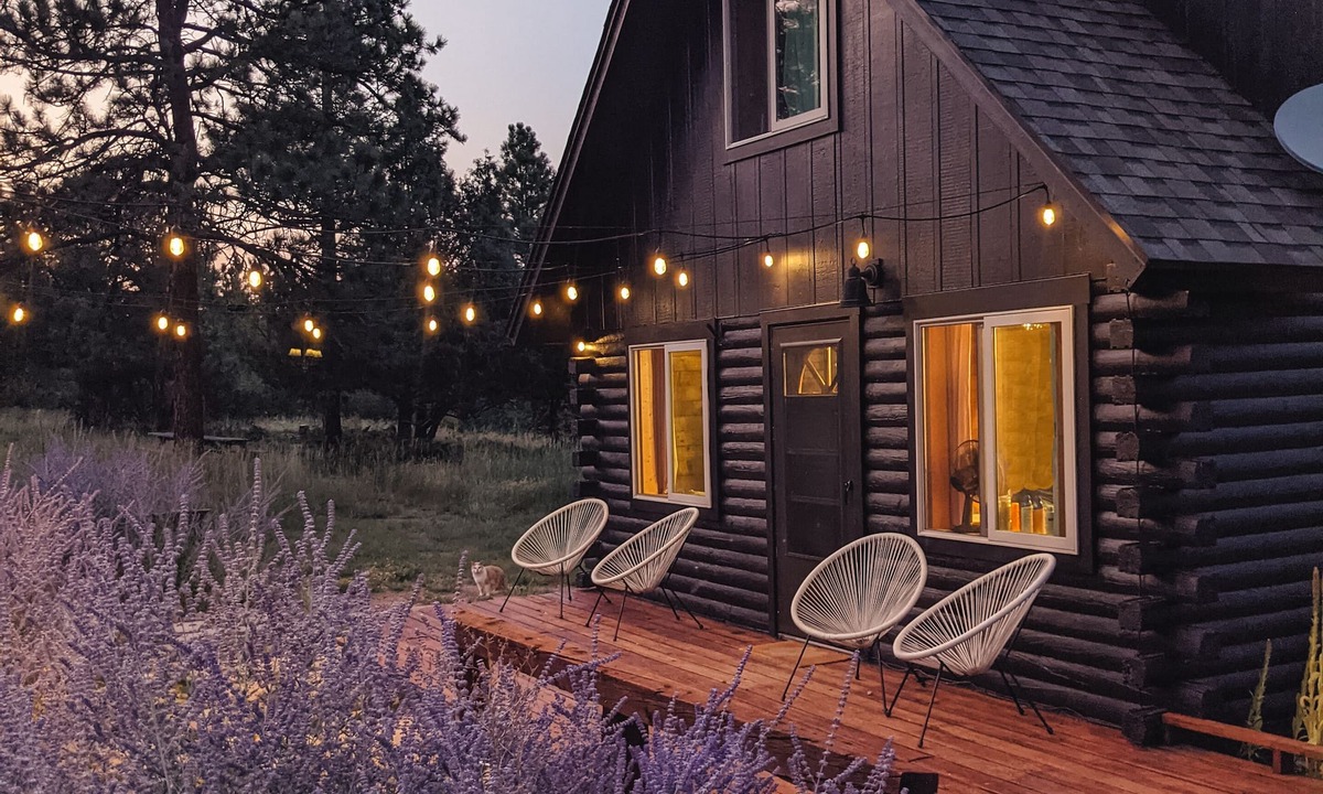 Howard Cabin | Get Away From it All at Whiskey Rapids Dog Friendly!