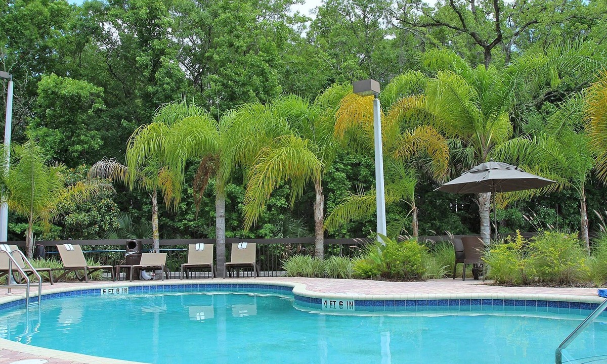 Wesley Chapel Hotel | Hampton Inn & Suites Tampa-Wesley Chapel
