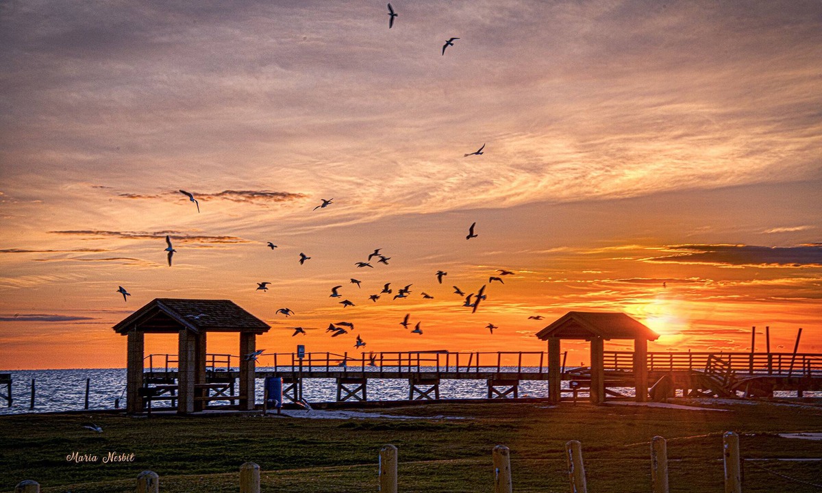 Rockport Cottage | Happy, Comfortable Coastal Cottage --Swimming Pool, BBQ- Dog OK