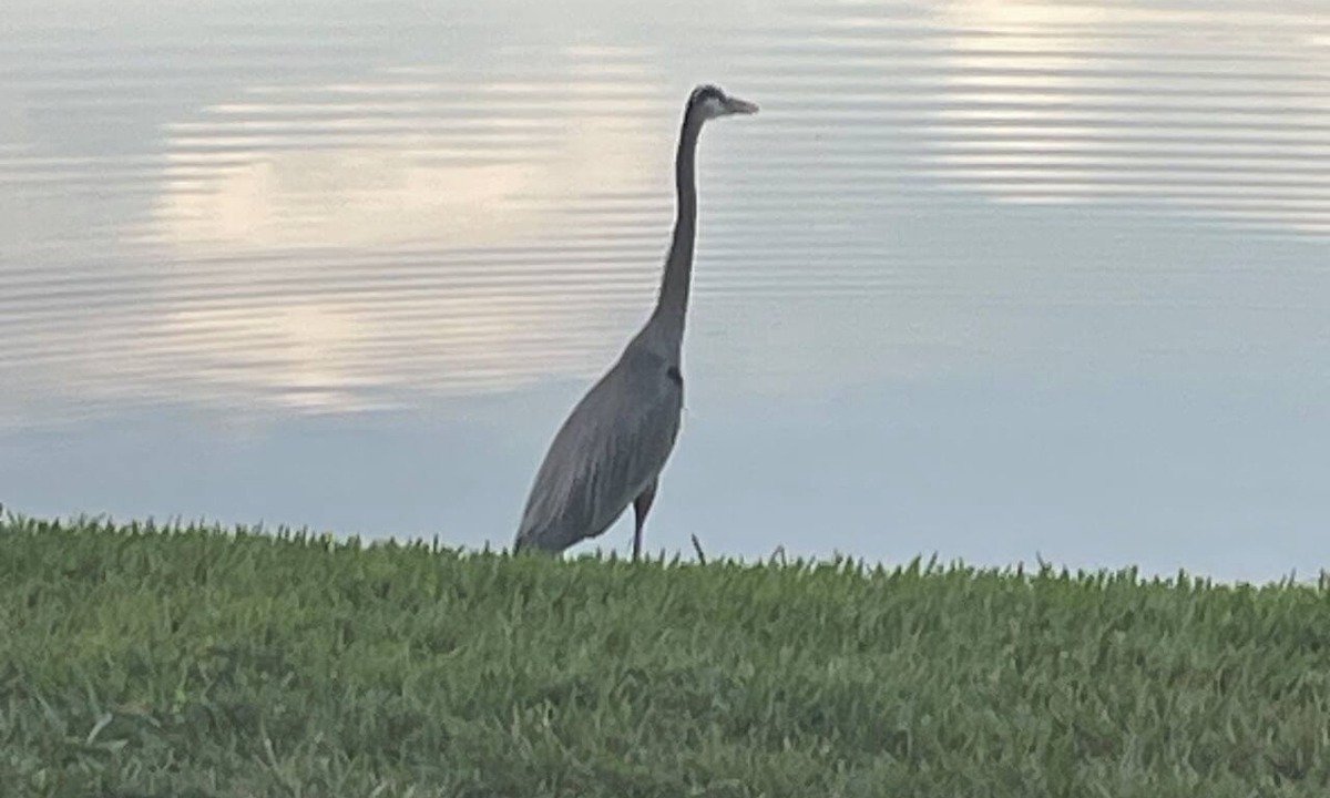 Miramar House | Lakefront 3BR/3BA Townhome, Near Hard Rock Stadium & Beaches