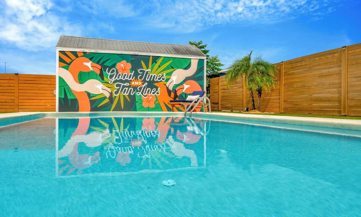 Tampa House | NEW Paradise Palms