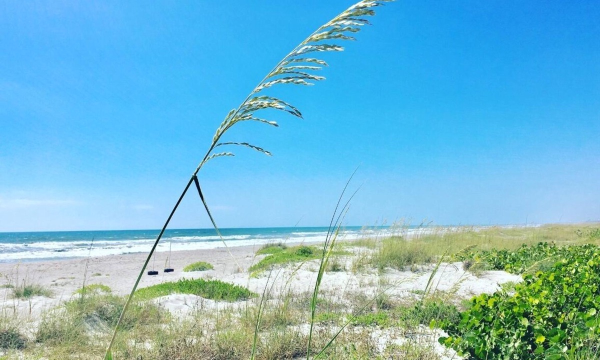 Crescent Beach Condo | Oceanfront Escape: Dive in! Unwind, Relax, and Savor the Breathtaking Views!