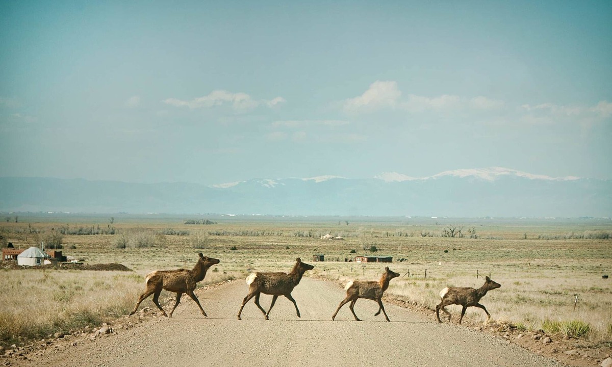 Crestone House | Off Grid at Baca Wildlife Refuge: Star Gazers Paradise
