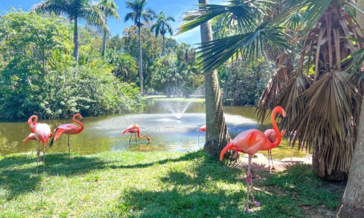 Fruitville House | Peaceful Sarasota Stay Professionals Long Stays