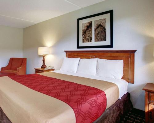 New Braunfels Hotel | Rodeway Inn New Braunfels - San Antonio Area