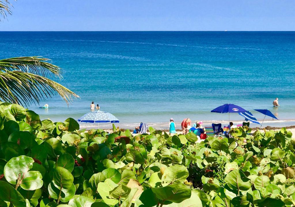 Boynton Beach Apartment | Seashell 1
