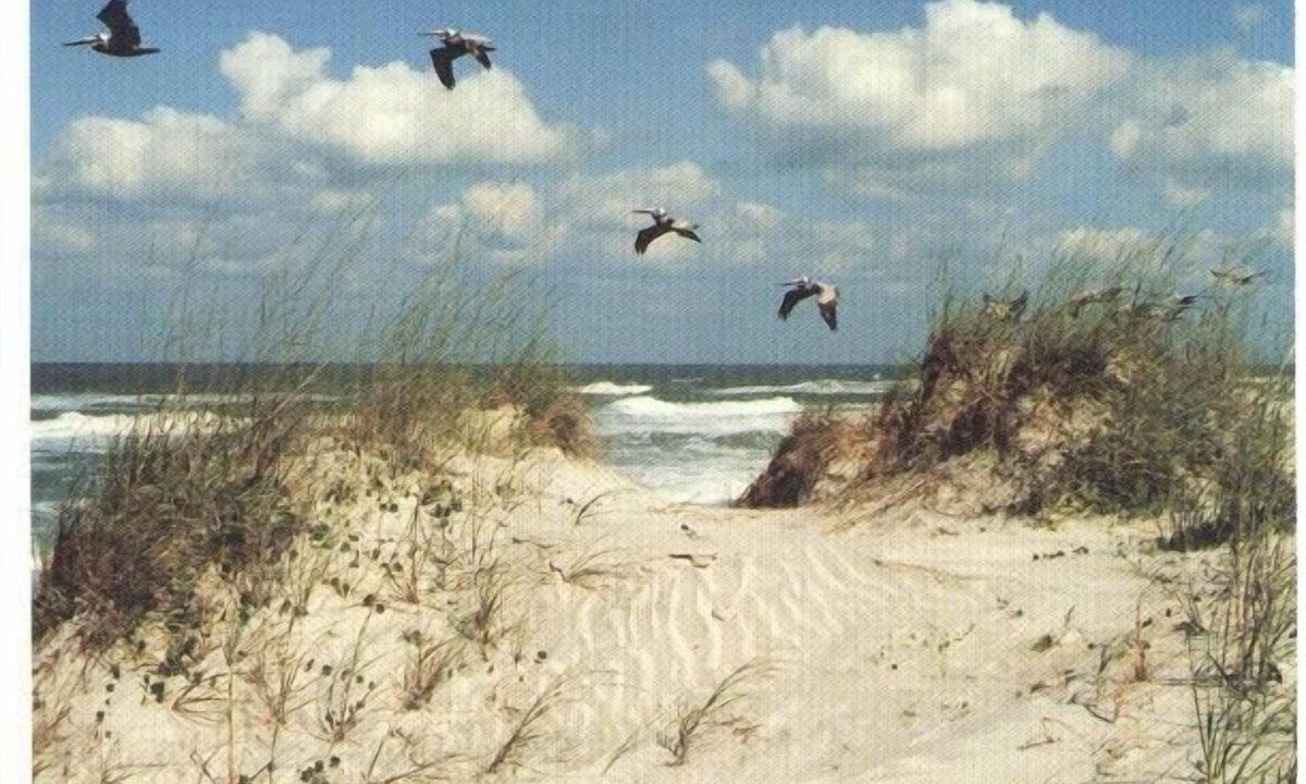 St. Augustine Beach Condo | SEASIDE ESCAPE ON ST. AUGUSTINE BEACH - WHERE OLD IS NEW AGAIN!