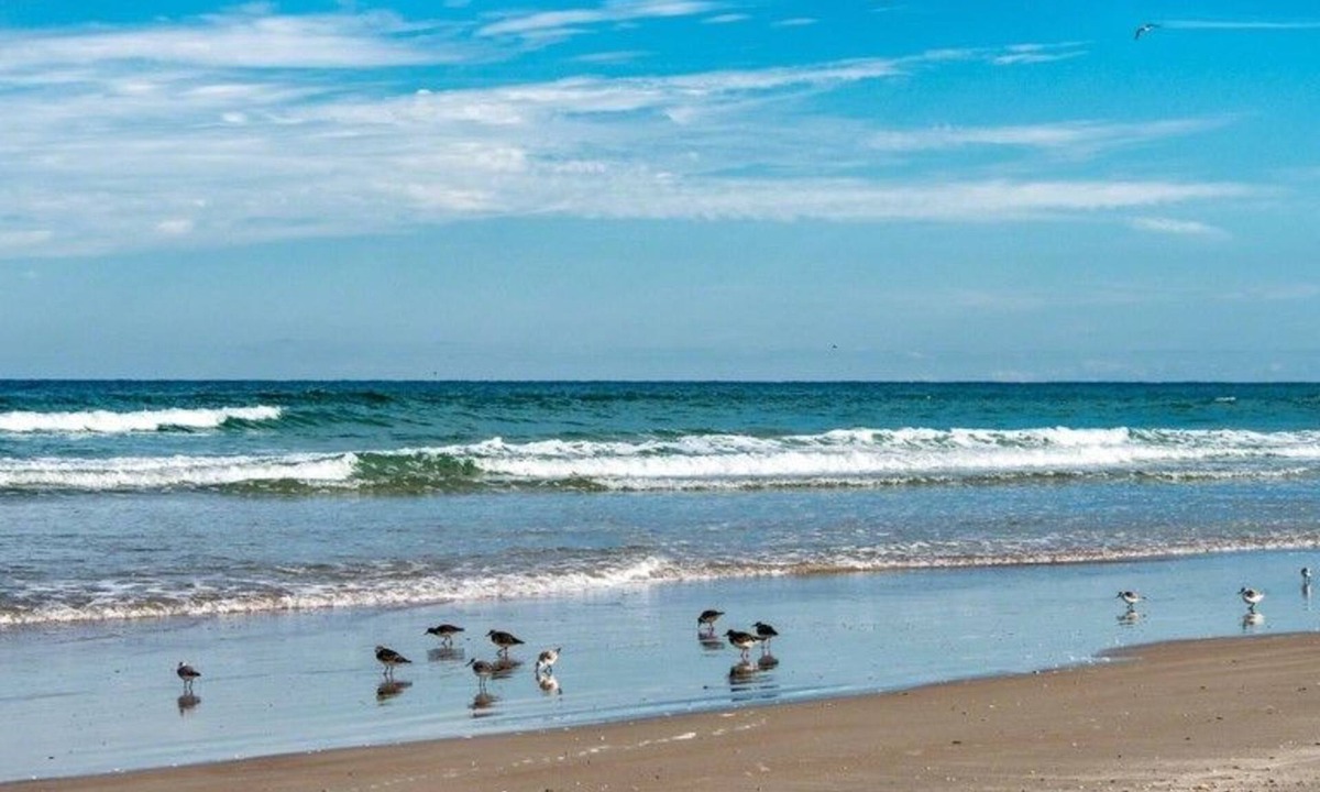 New Smyrna Beach Villa | Seaside S 4302 1 Bedroom Condo by RedAwning