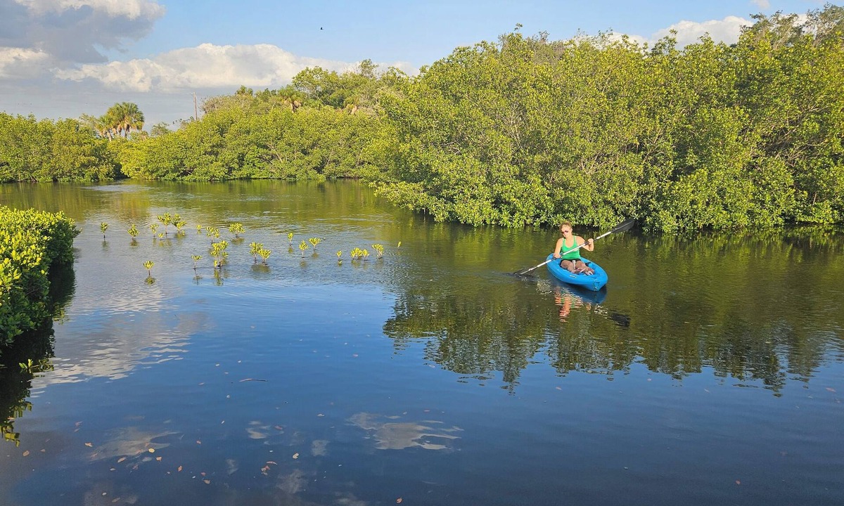 Palmetto Cottage | Seaside Waterfront Cottage. Perfect Nature Retreat for Kayaking or Fishing!