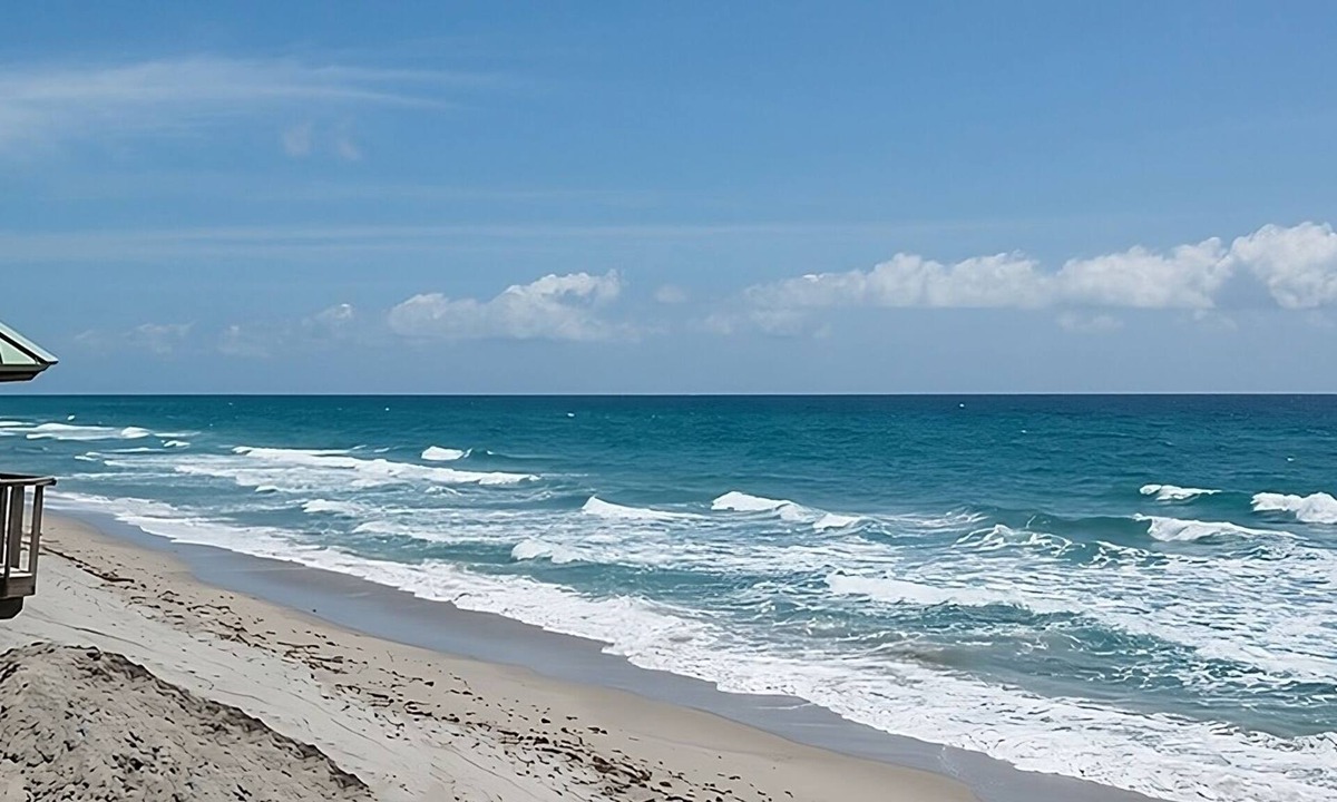 Boca Raton Hotel | Short Drive to Boca Raton Beach! Pets Are Welcome, Free Parking, Pool!
