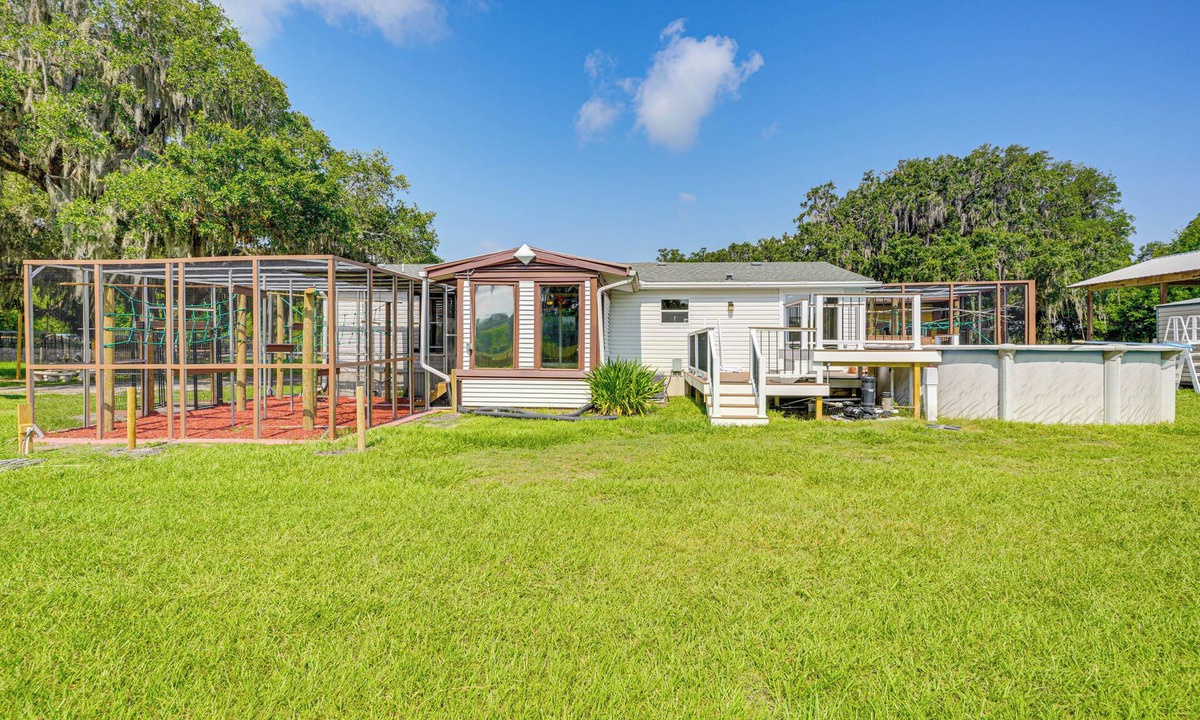 Webster House | Sleep With Sloths & Lemurs! Modern Webster Home