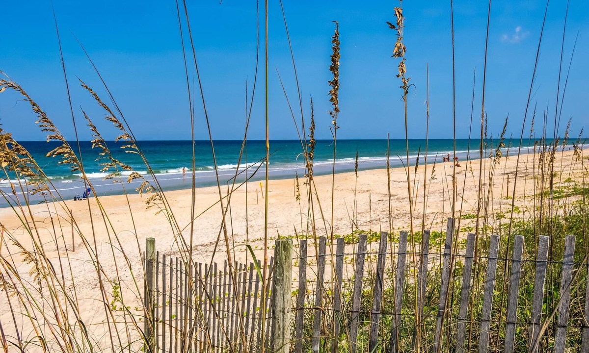 Palm Harbor Cottage | Splashing Dolphins by Distinctive Beach Rentals
