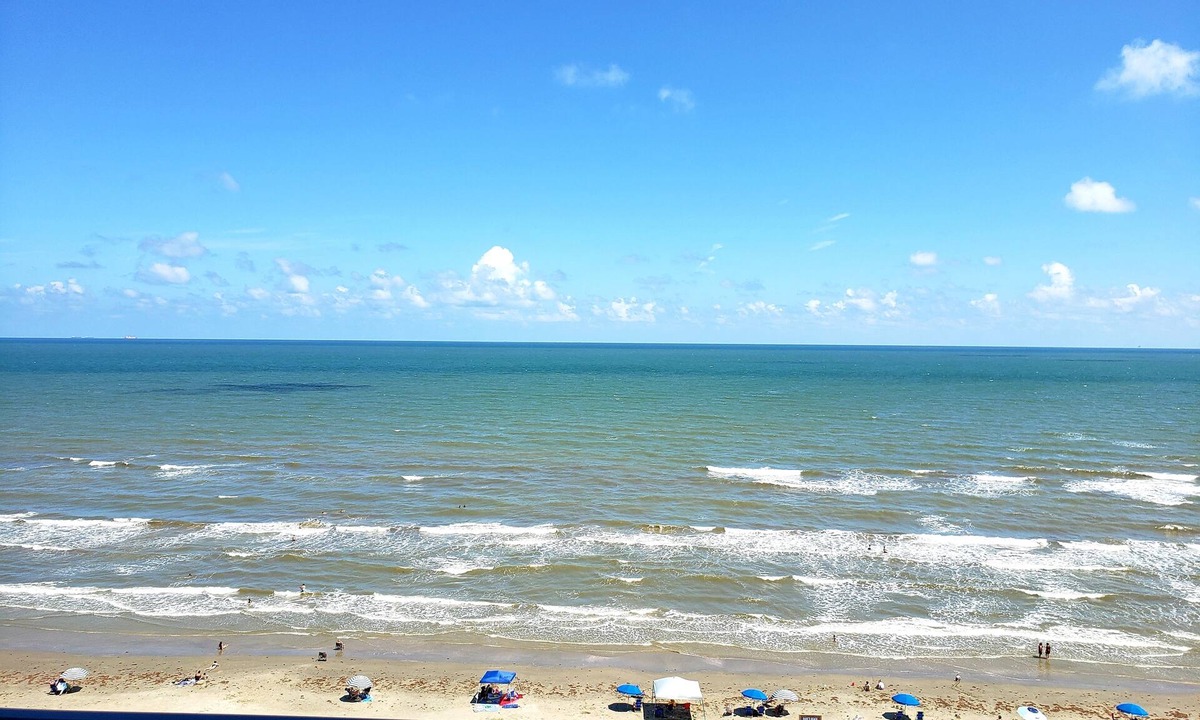 Galveston Condo | Stunning Views, Oceanfront 10th Floor condo steps from Babe's Beach, with pool!