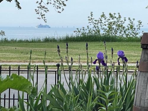 Almont Villa | Superior St Lakeview Villa
