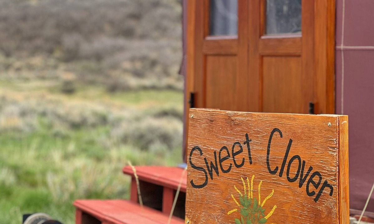 Villa Grove House | "Sweet Clover" - Yurts at Poncha Pass. A dark sky place to see the Milky-way.