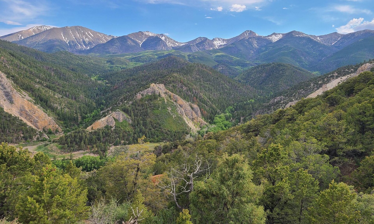 Howard House | The Hideaway - Secluded 37-Acre Mountain Retreat Near Salida