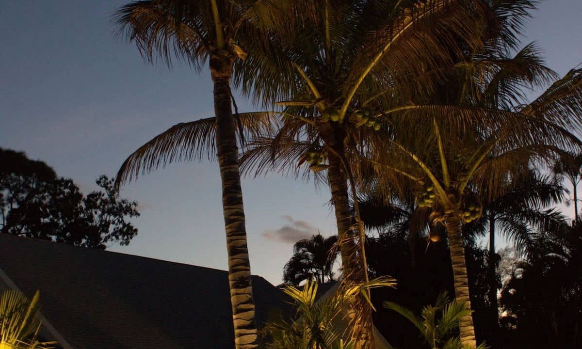 McGregor House | Tropical Mango Grove Stay Whiskey Creek Area
