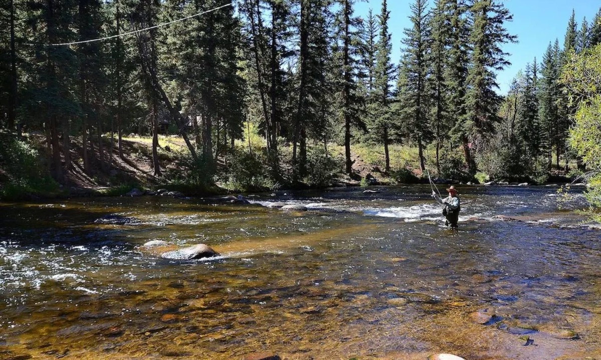 Almont House | Unwind by the River: Cozy Cabins & Endless Adventures in the Rockies