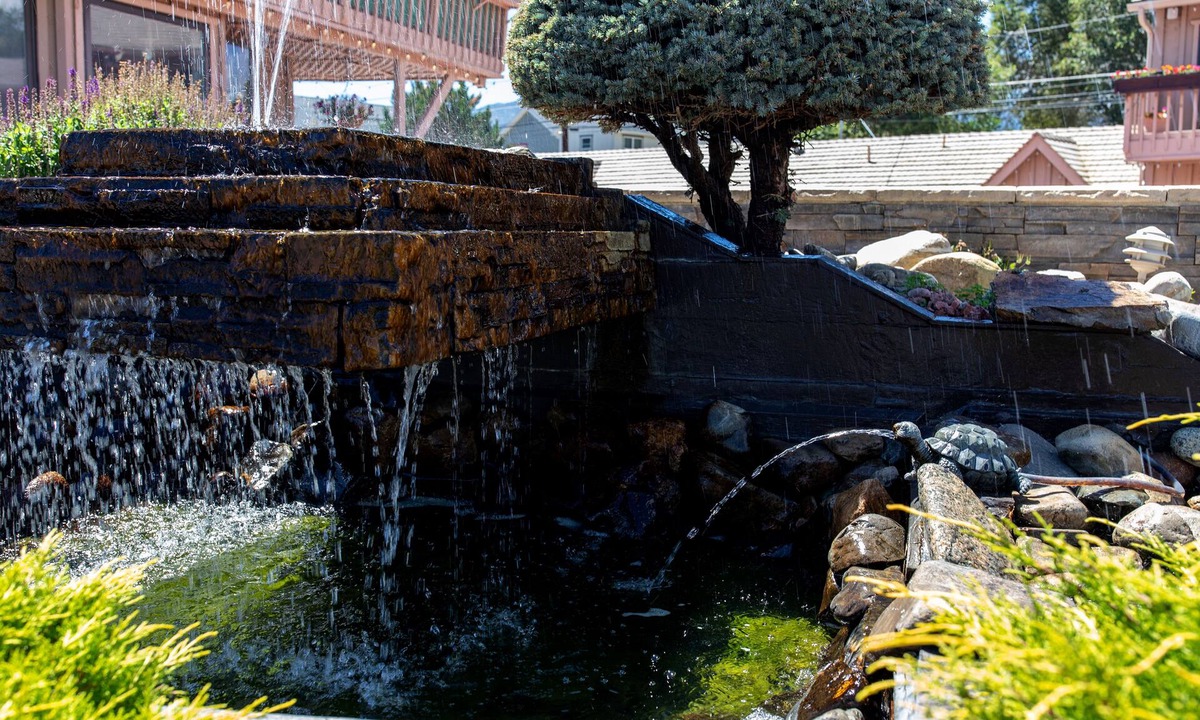 Salida Hotel | Woodland Motel
