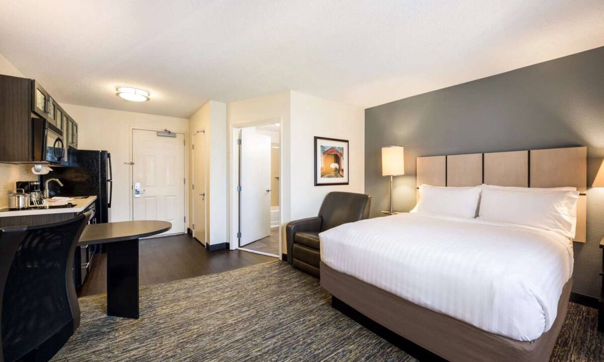 Clearwater Hotel | Work and Relax in Clearwater Hideaway! Outdoor Pool, Pet-friendly Property!