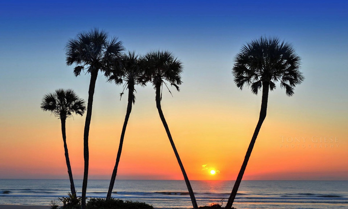 Daytona Beach House | Wyndhams Ocean Walk 2/2 Bedroom