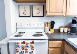 Charming Riverside Retreat 1/1 - Near 5 Points #4
