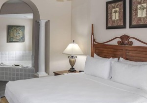 Three Great Units, Day Trips to Daytona Beach and or Tampa St. Petersburg!