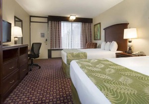Wonderful Stay! 4 Amazing Units, Pool, Restaurant, Free Shuttle
