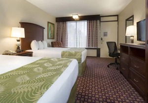 Wonderful Stay! 4 Amazing Units, Pool, Restaurant, Free Shuttle