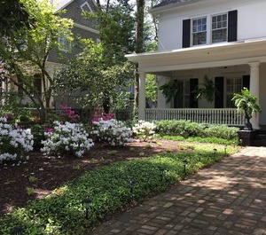 Summerville 