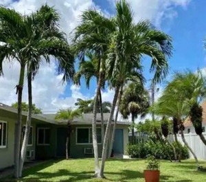 Wyndham Sea Gardens Pompano Beach 