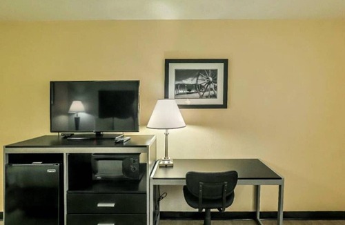 Nacogdoches Apartment | 1 King Bed | Non-Smoking, Micfridge, Sofa-Bed