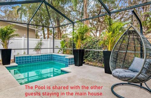 Safety Harbor Apartment | 1BR to 4BR House near Clearwater Beach with Swimming Pool
