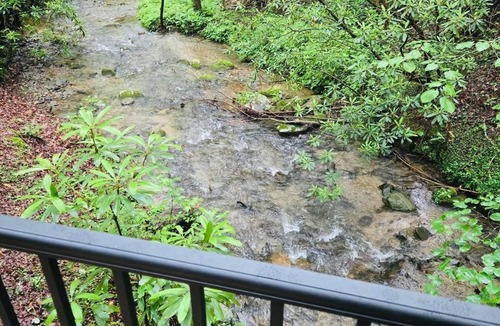 Ellijay Cabin | 2 bedroom 1 bathroom located in Cohutta wilderness area. On Holly Creek