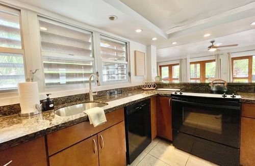 Lauderdale Beach Apartment | 2301/U4-BeachFront-TreeHouse-Sensation-Apt-with AC-Downtown