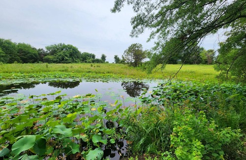 Emory Other | 3-bedroom farmhouse in tranquil Emory with cool AC