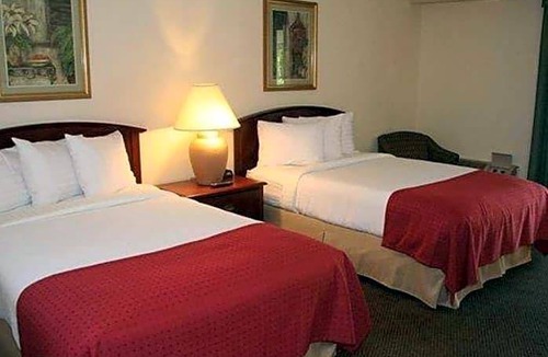 Tarpon Springs Hotel | 3-Star Hotel ∙ Quality Inn & Suites Tarpon Springs