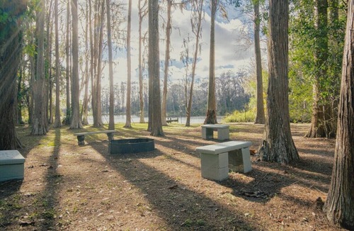 Greater Northdale House | 3bdr/2bth Lake Home Tampa/LUTZ close to all