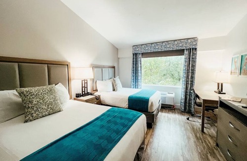 Key Largo Hotel | 4 Units | Bayfront Adventure: Scuba, Snorkeling & Kayaking from Private Beach