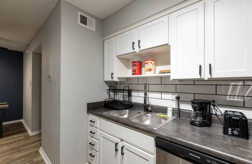 Central Arlington Apartment | Arlington 1BR | AT&T, Globe Life, 6 Flags, Parking